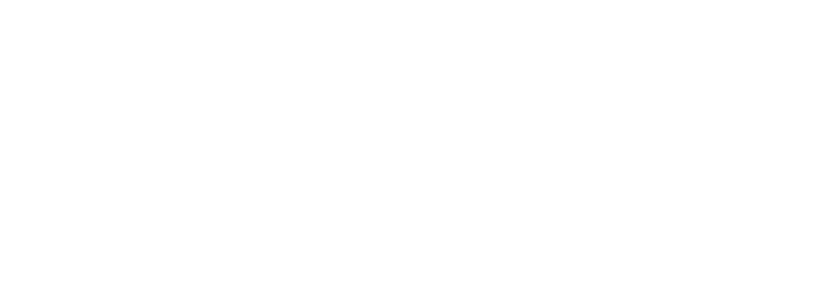 Codasip Logo White